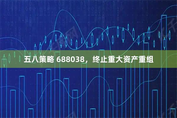 五八策略 688038，终止重大资产重组