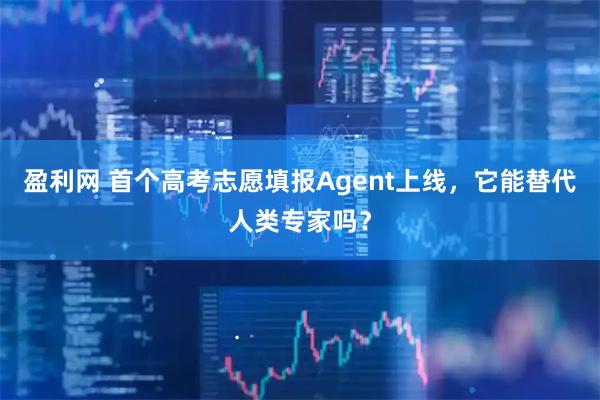 盈利网 首个高考志愿填报Agent上线，它能替代人类专家吗？