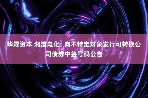 华霖资本 湘潭电化: 向不特定对象发行可转换公司债券中签号码公告