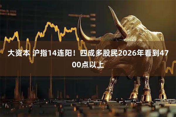 大资本 沪指14连阳！四成多股民2026年看到4700点以上